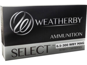 6.5-300WBY 140GR HDY INTERLOCK