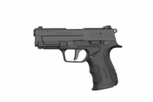 RXP22 22LR BLK 13+1 DA/SA