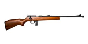 M14Y BOLT ACTN 22LR BL/WD 18"#