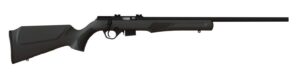 Rossi RB17 17 HMR