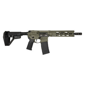 DB15O 300BLK ODG 10" BRACE
