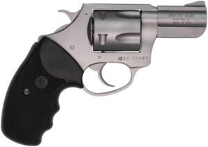 Charter Arms CHARTER PITBULL 40S&W SS 2.3"