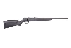 Savage Arms B17 17HMR BL/SYN 21"