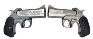 Bond Arms 250TH REDNECK 45-70 SS 4.25" #